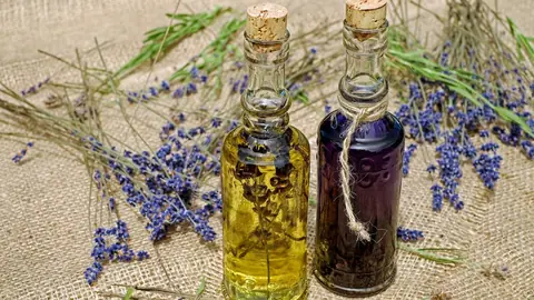 L’huile essentielle de lavande vraie, l’astuce de choix pour un bien-être au naturel
